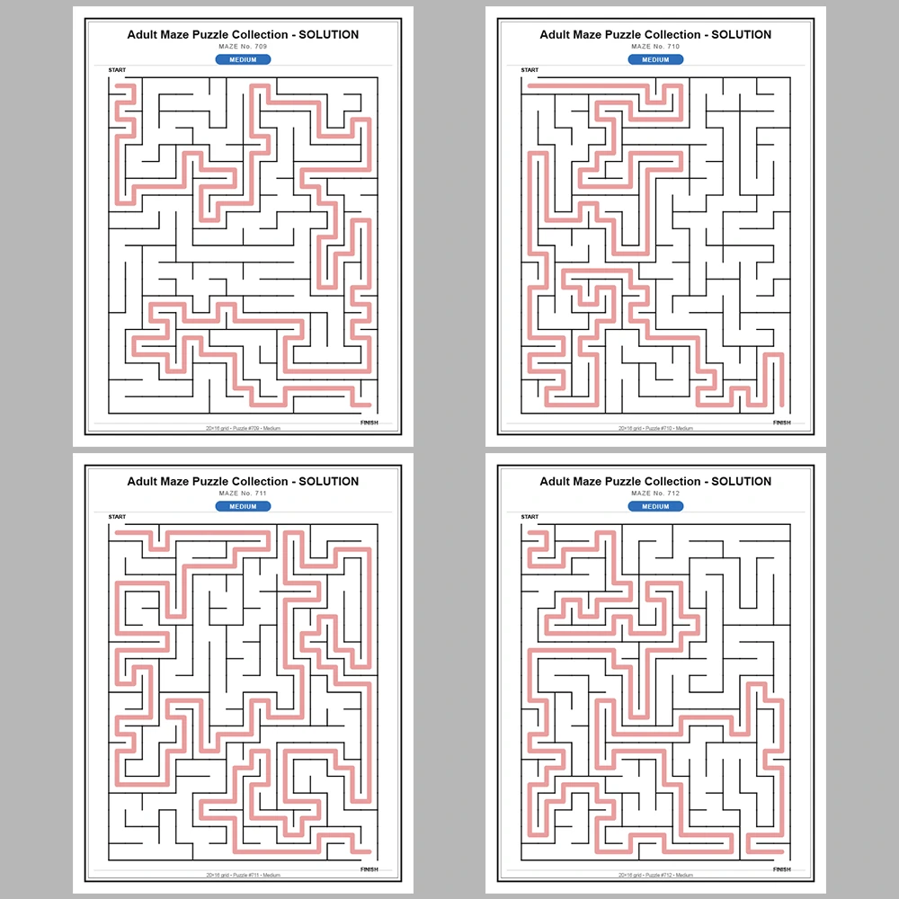 Maze Puzzle Medium 50 Pages of Puzzles – Vol. 15