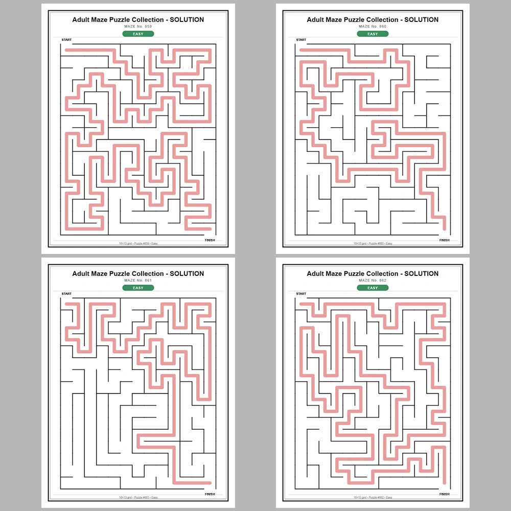 Maze Puzzle Easy 50 Pages of Puzzles – Vol. 18