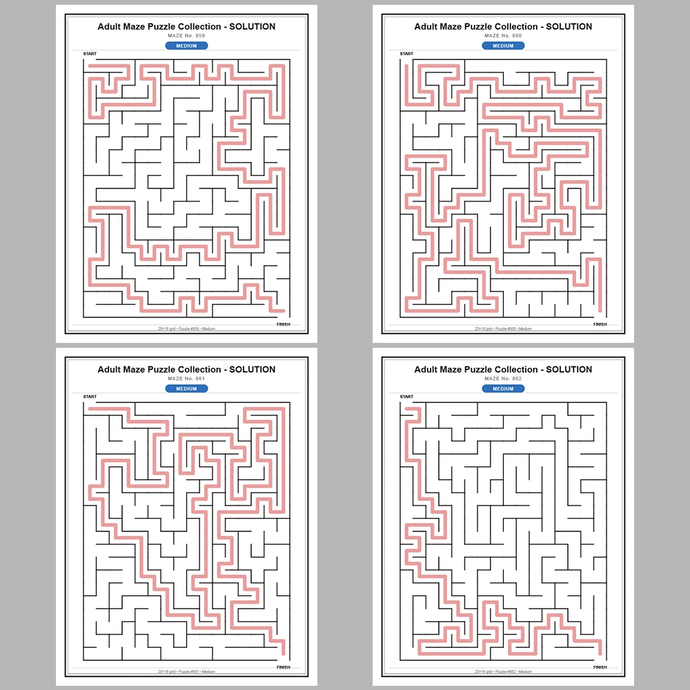 Maze Puzzle Medium 50 Pages of Puzzles – Vol. 18