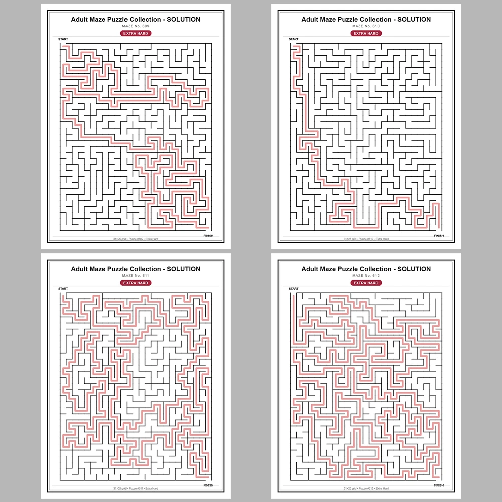 Maze Puzzle Extra Hard 50 Pages of Puzzles – Vol. 13