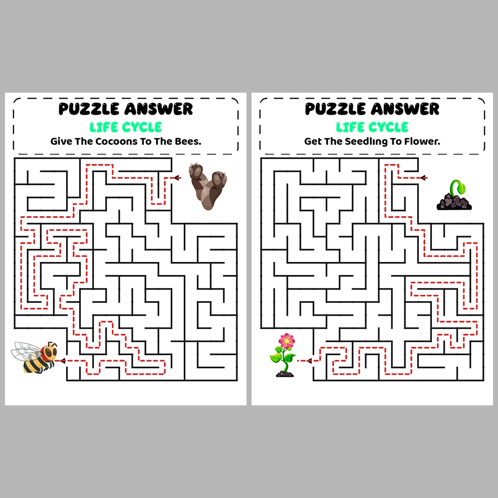Life Cycle Kids Maze Puzzle 10 Pages of Puzzles