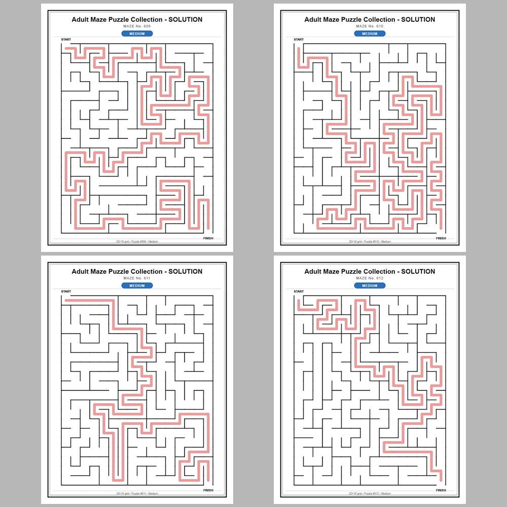 Maze Puzzle Medium 50 Pages of Puzzles – Vol. 13
