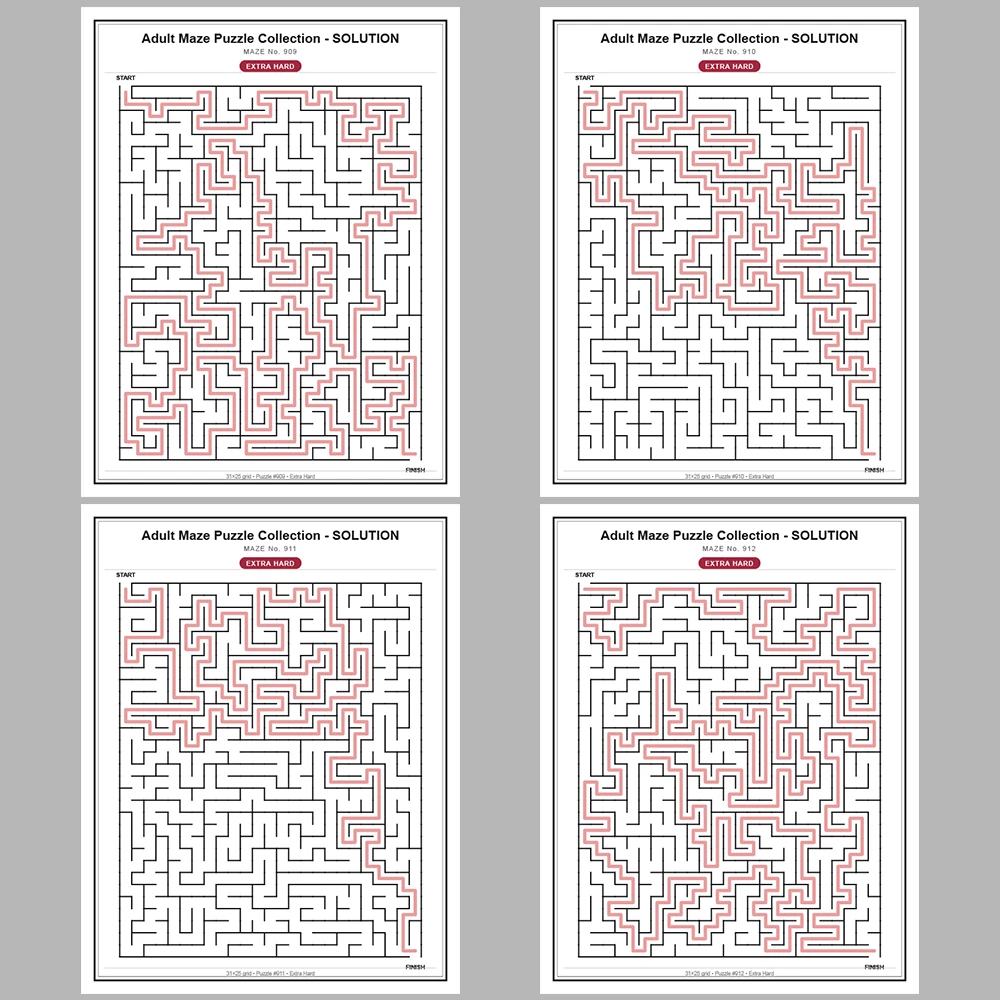 Maze Puzzle Extra Hard 50 Pages of Puzzles – Vol. 19