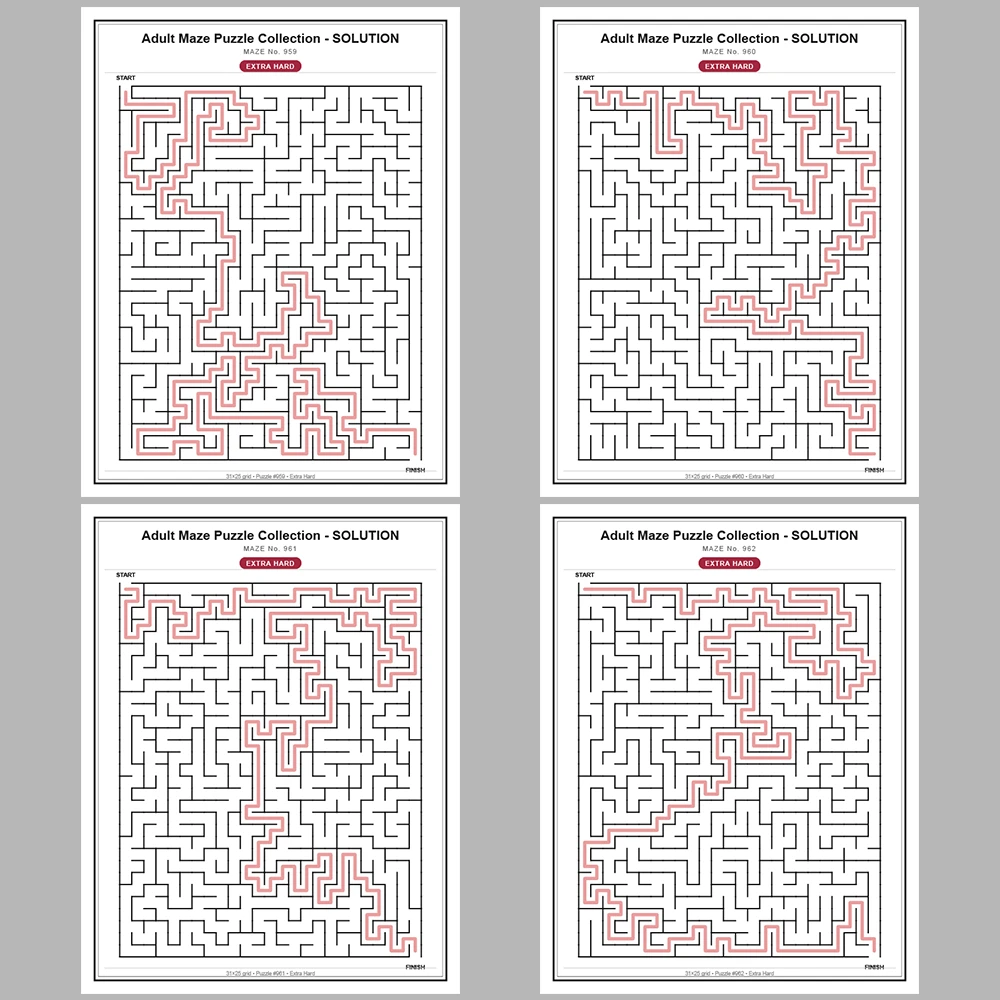 Maze Puzzle Extra Hard 50 Pages of Puzzles – Vol. 20