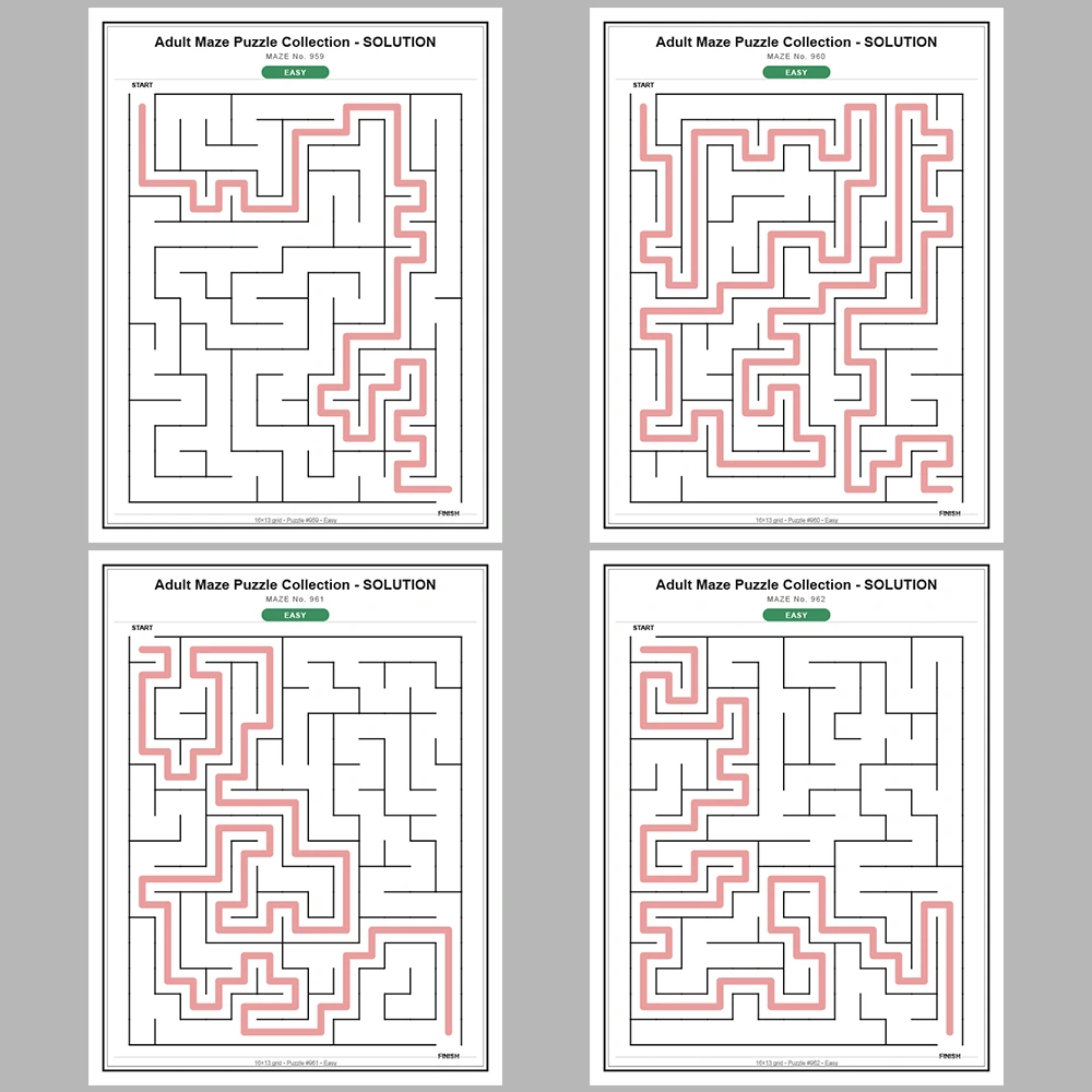 Maze Puzzle Easy 50 Pages of Puzzles – Vol. 20