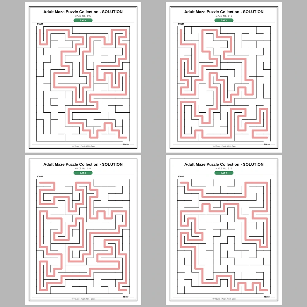 Maze Puzzle Easy 50 Pages of Puzzles – Vol. 11