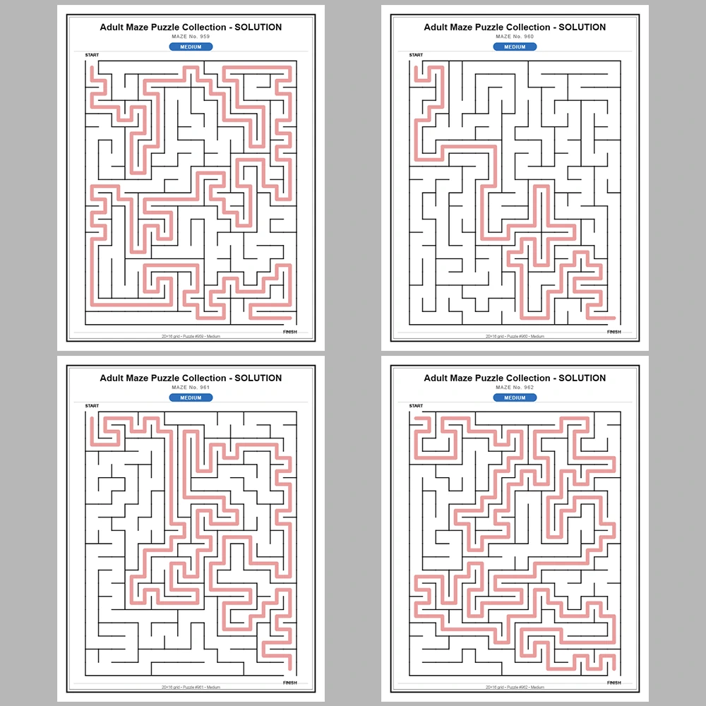 Maze Puzzle Medium 50 Pages of Puzzles – Vol. 20