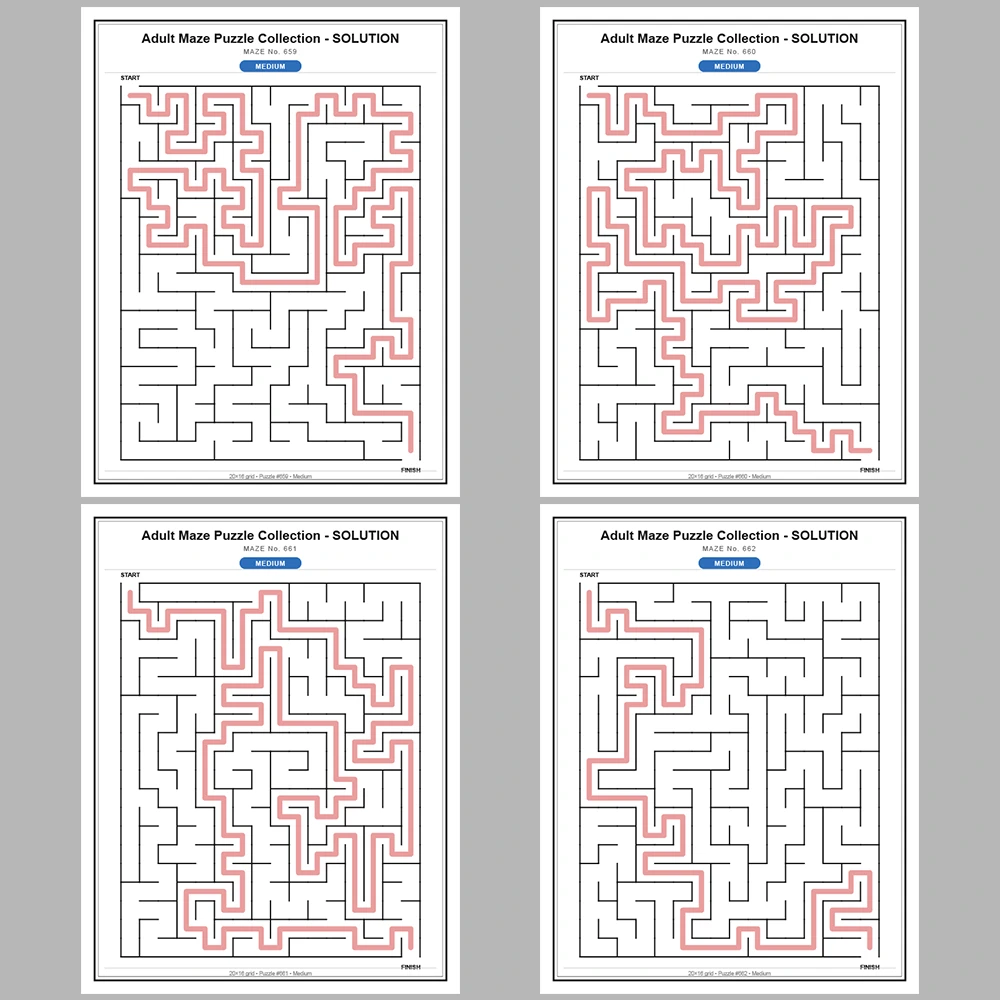 Maze Puzzle Medium 50 Pages of Puzzles – Vol. 14
