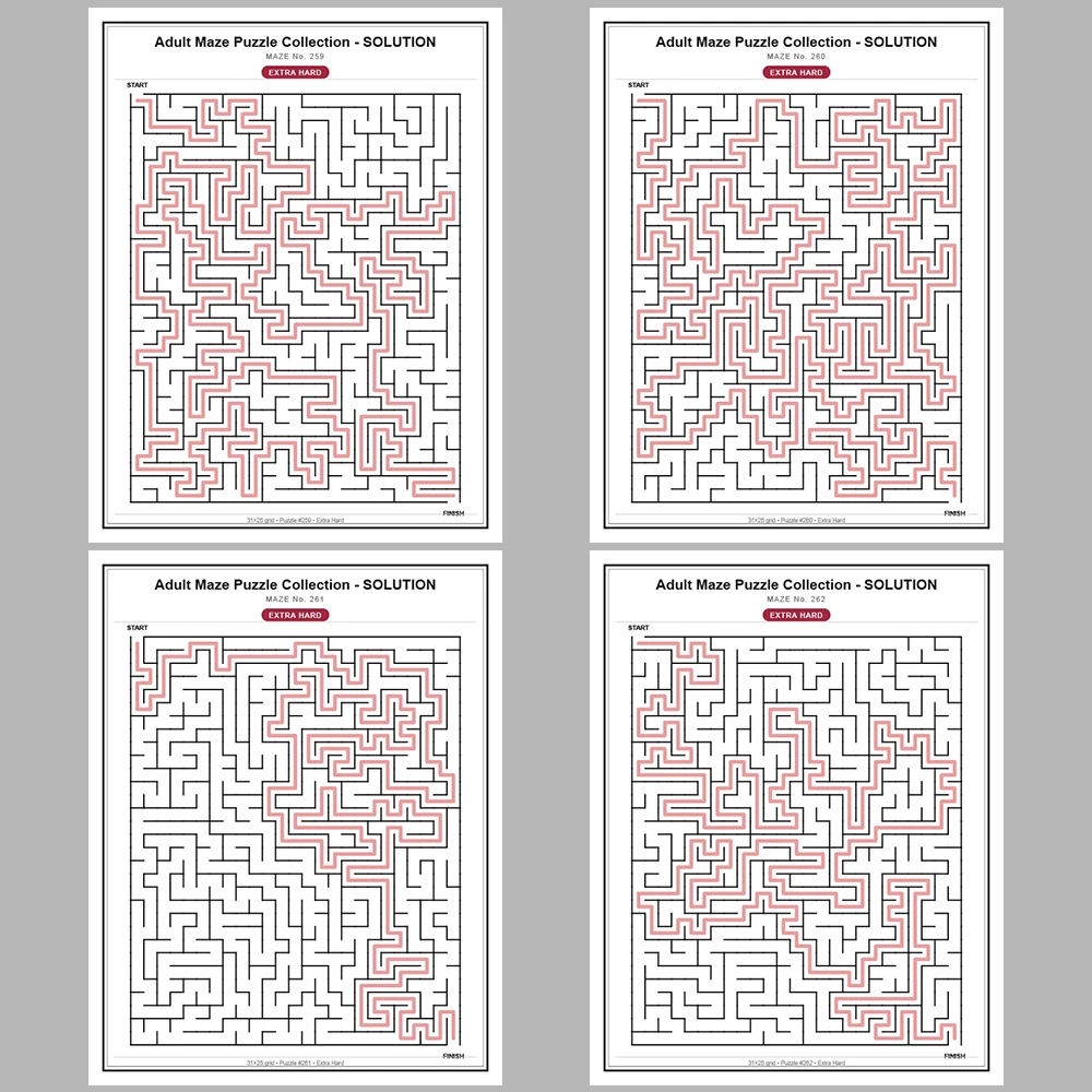 Maze Puzzle Extra Hard 50 Pages of Puzzles – Vol. 6