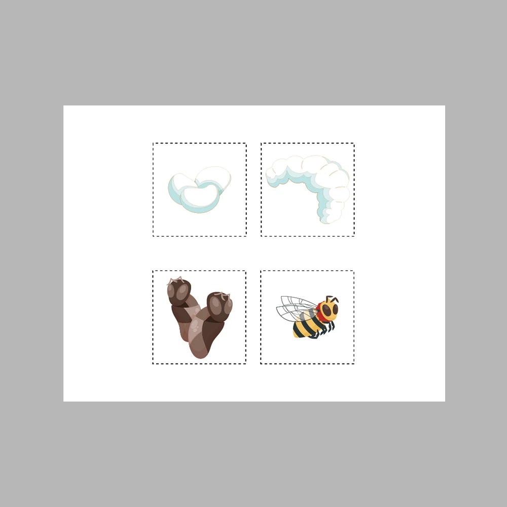 Bee Life Cycle