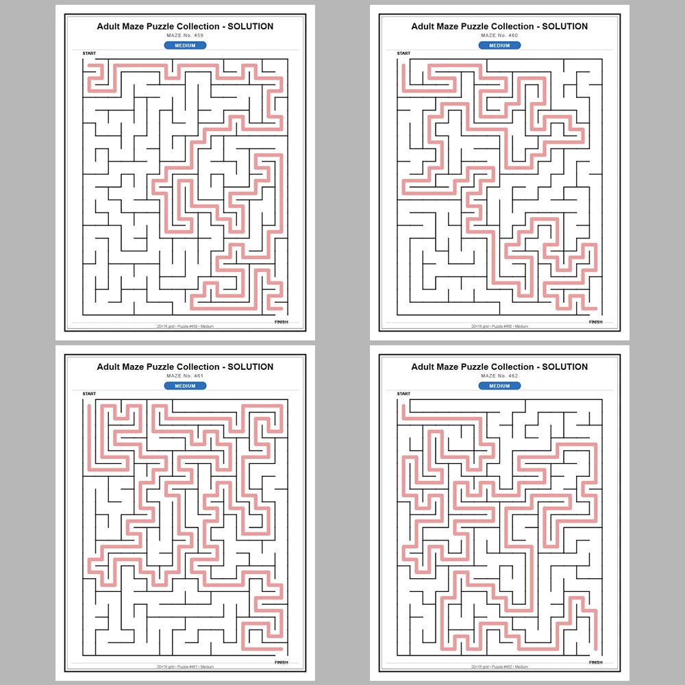 Maze Puzzle Medium 50 Pages of Puzzles – Vol. 10