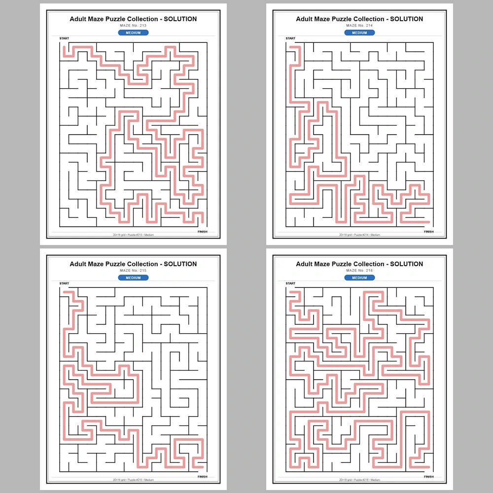 Maze Puzzle Medium 50 Pages of Puzzles – Vol. 5