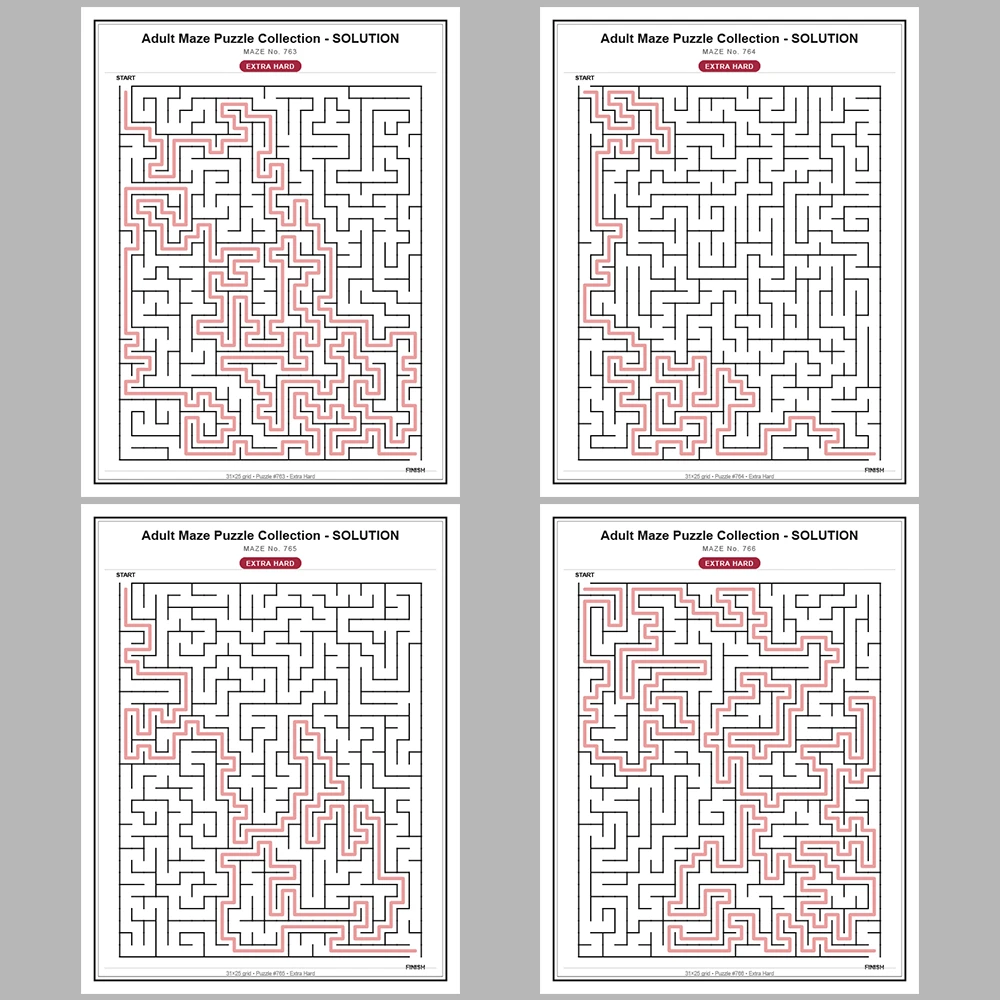 Maze Puzzle Extra Hard 50 Pages of Puzzles – Vol. 16