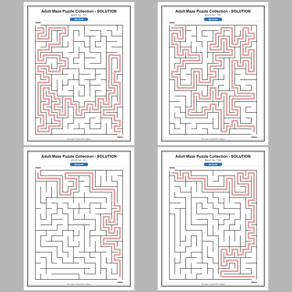 Maze Puzzle Medium 50 Pages of Puzzles – Vol. 16