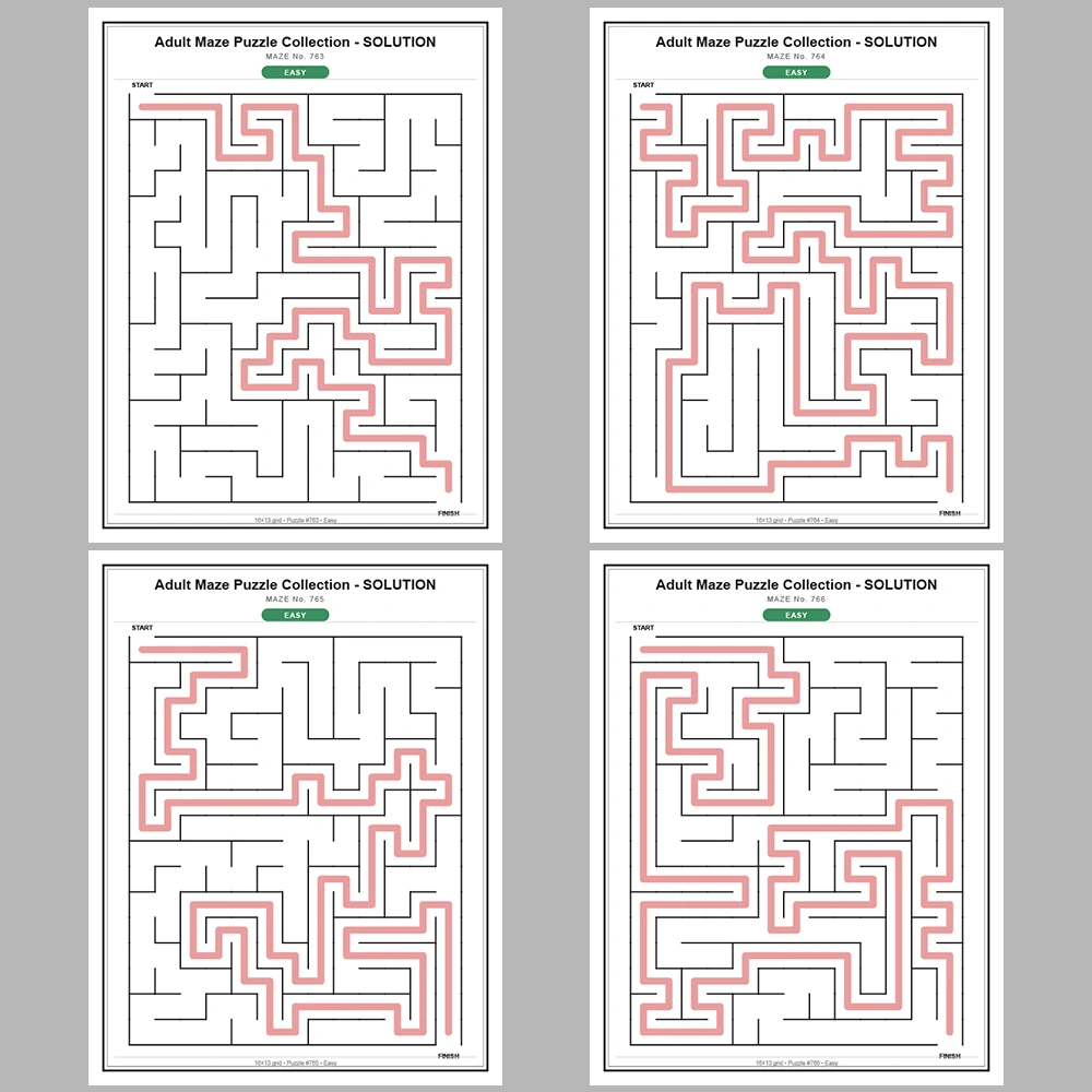 Maze Puzzle Easy 50 Pages of Puzzles – Vol. 16