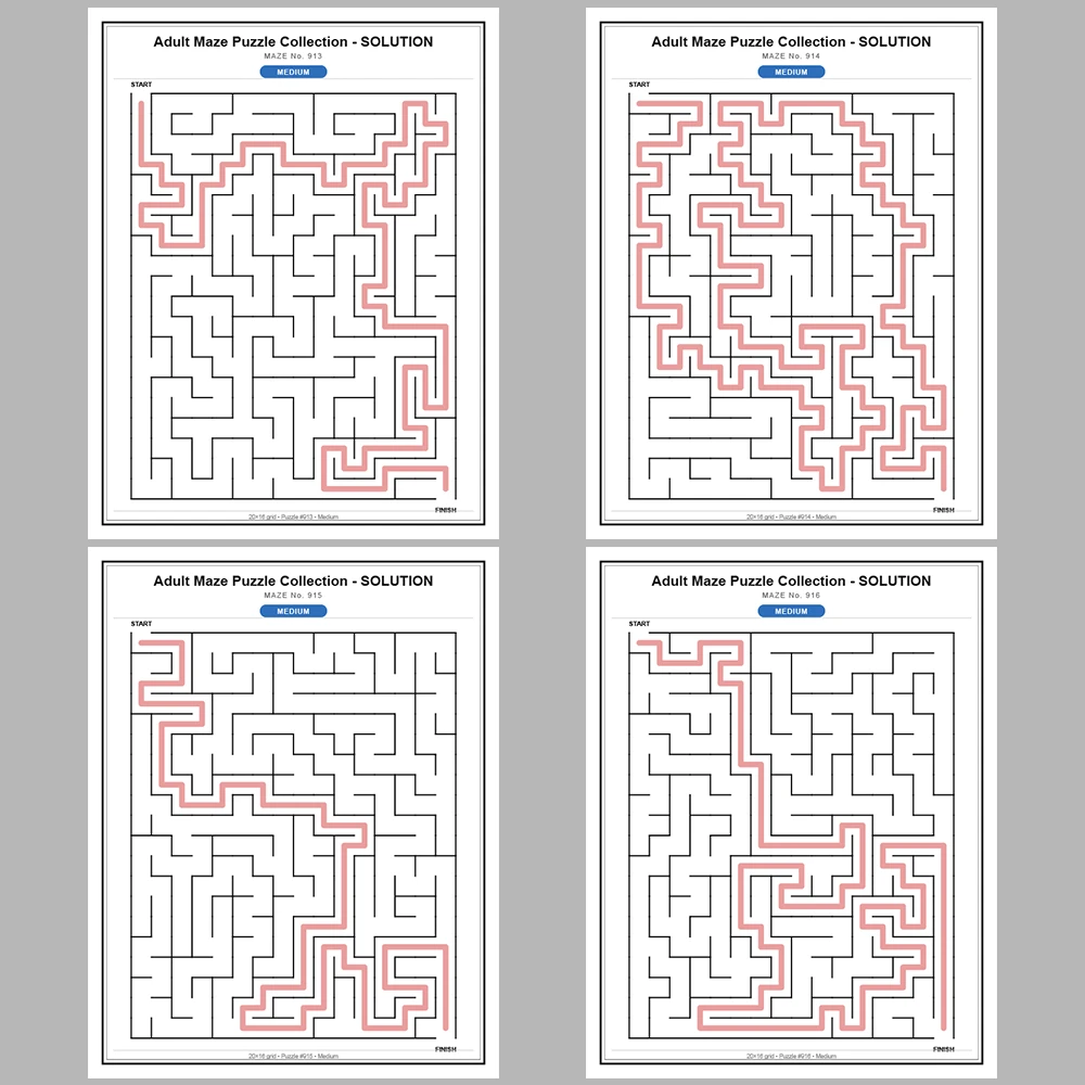 Maze Puzzle Medium 50 Pages of Puzzles – Vol. 19