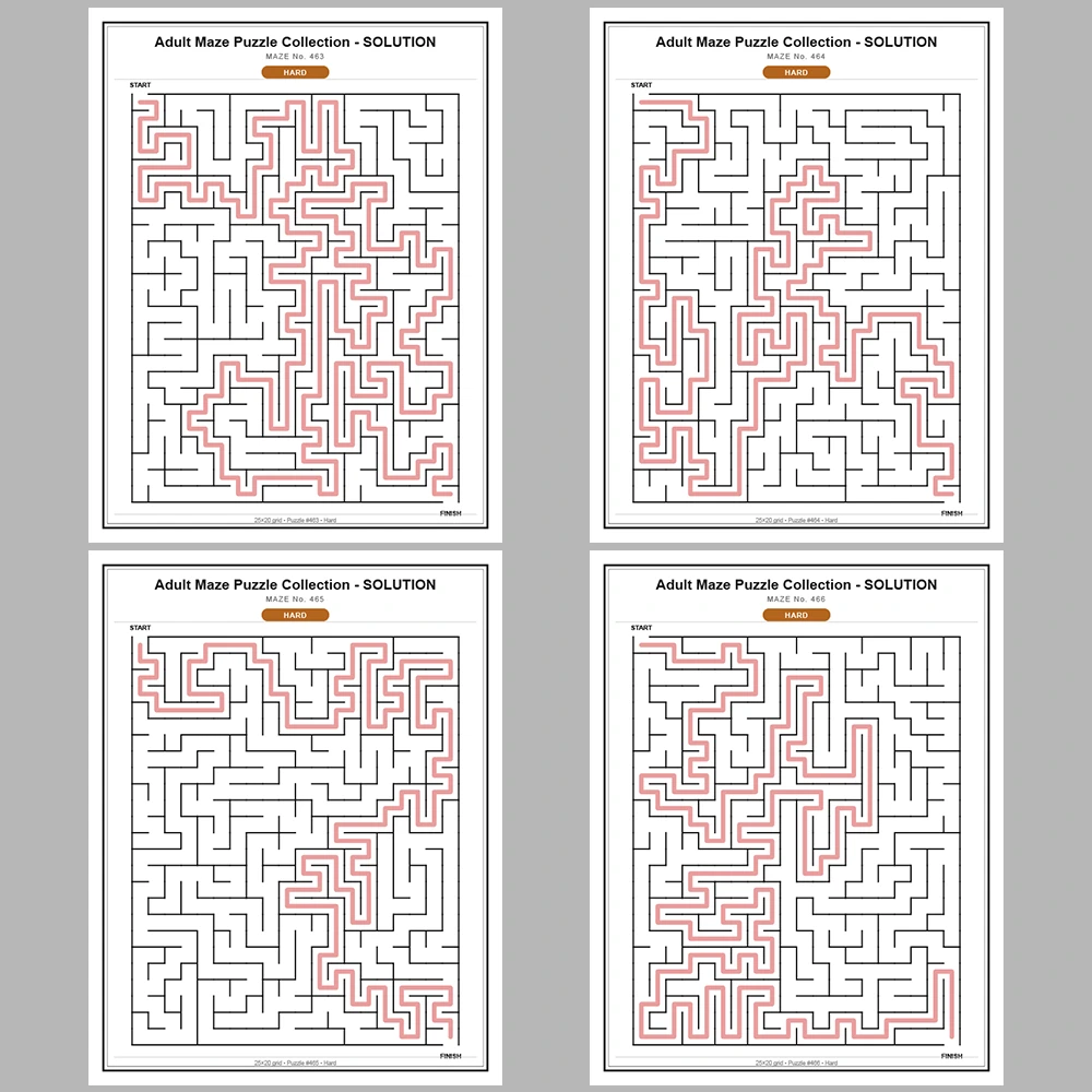 Maze Puzzle Hard 50 Pages of Puzzles – Vol. 10