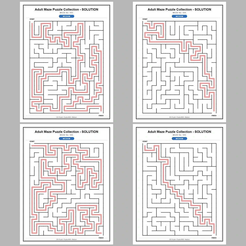 Maze Puzzle Medium 50 Pages of Puzzles – Vol. 12