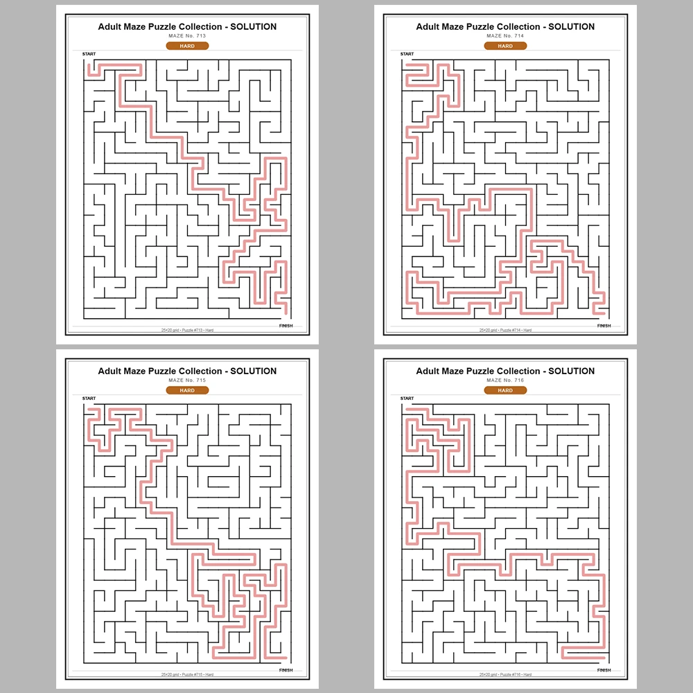 Maze Puzzle Hard 50 Pages of Puzzles – Vol. 15