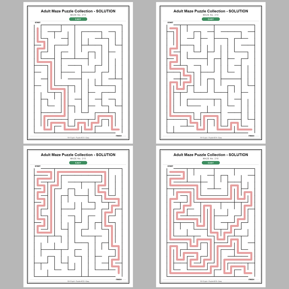 Maze Puzzle Easy 50 Pages of Puzzles – Vol. 5