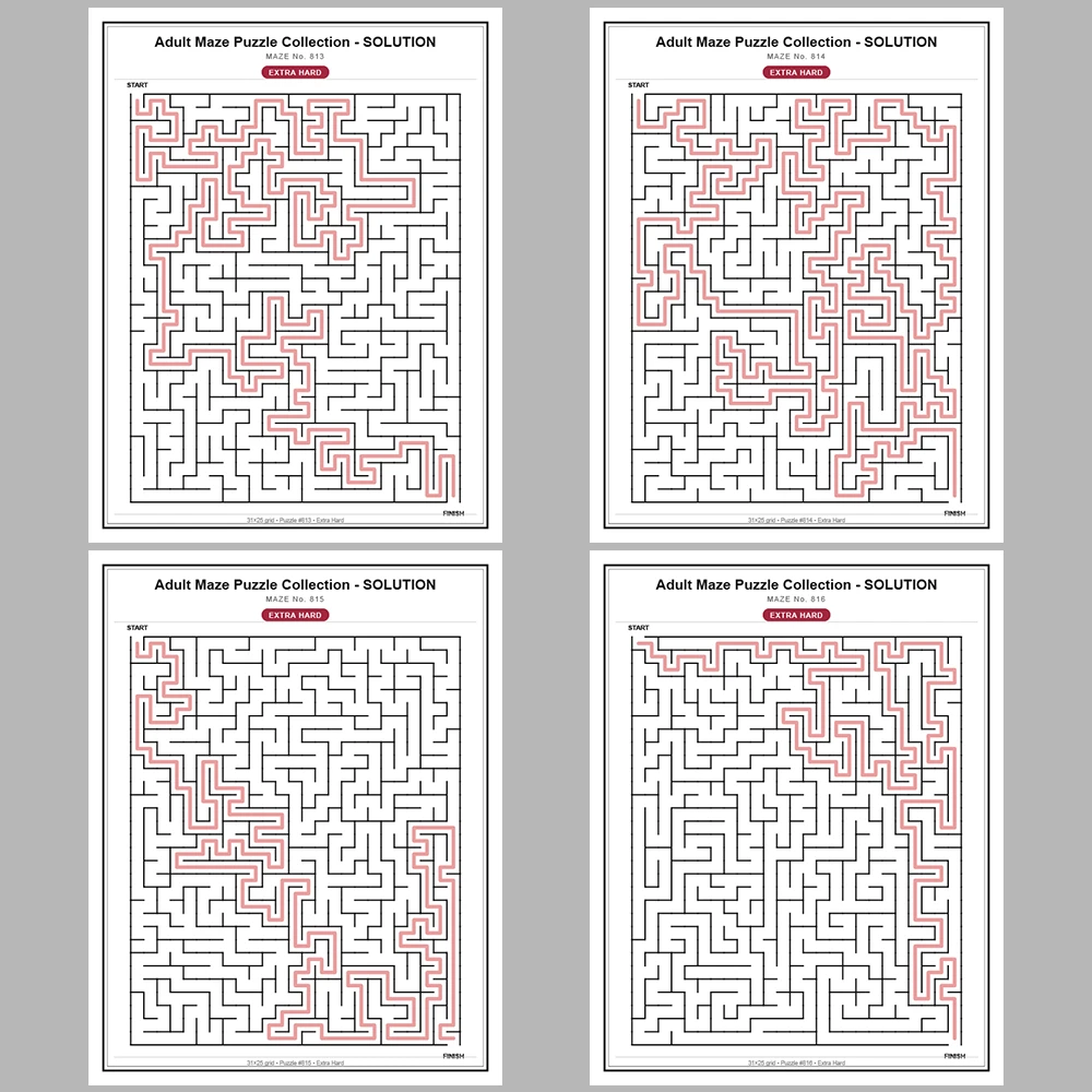 Maze Puzzle Extra Hard 50 Pages of Puzzles – Vol. 17