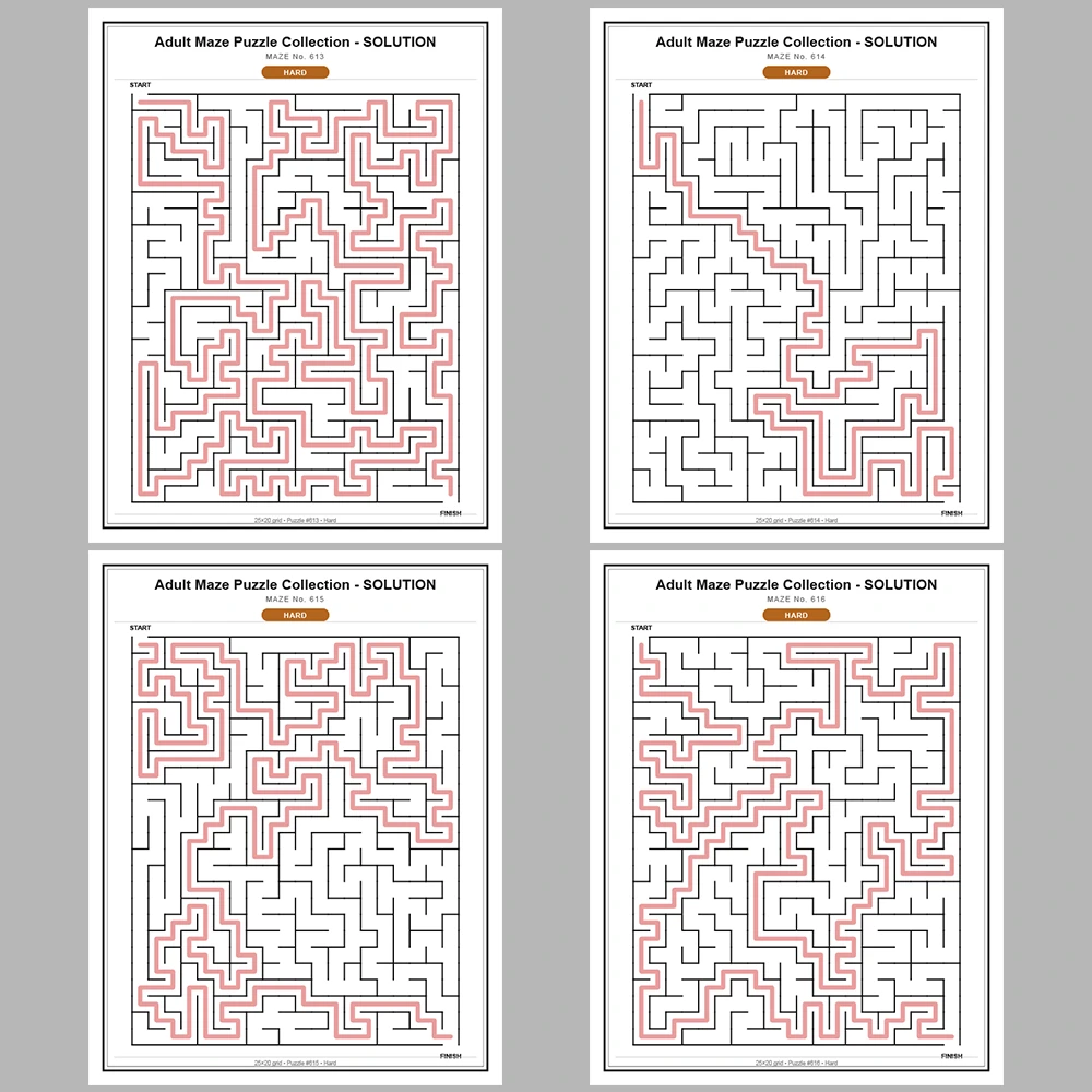 Maze Puzzle Hard 50 Pages of Puzzles – Vol. 13