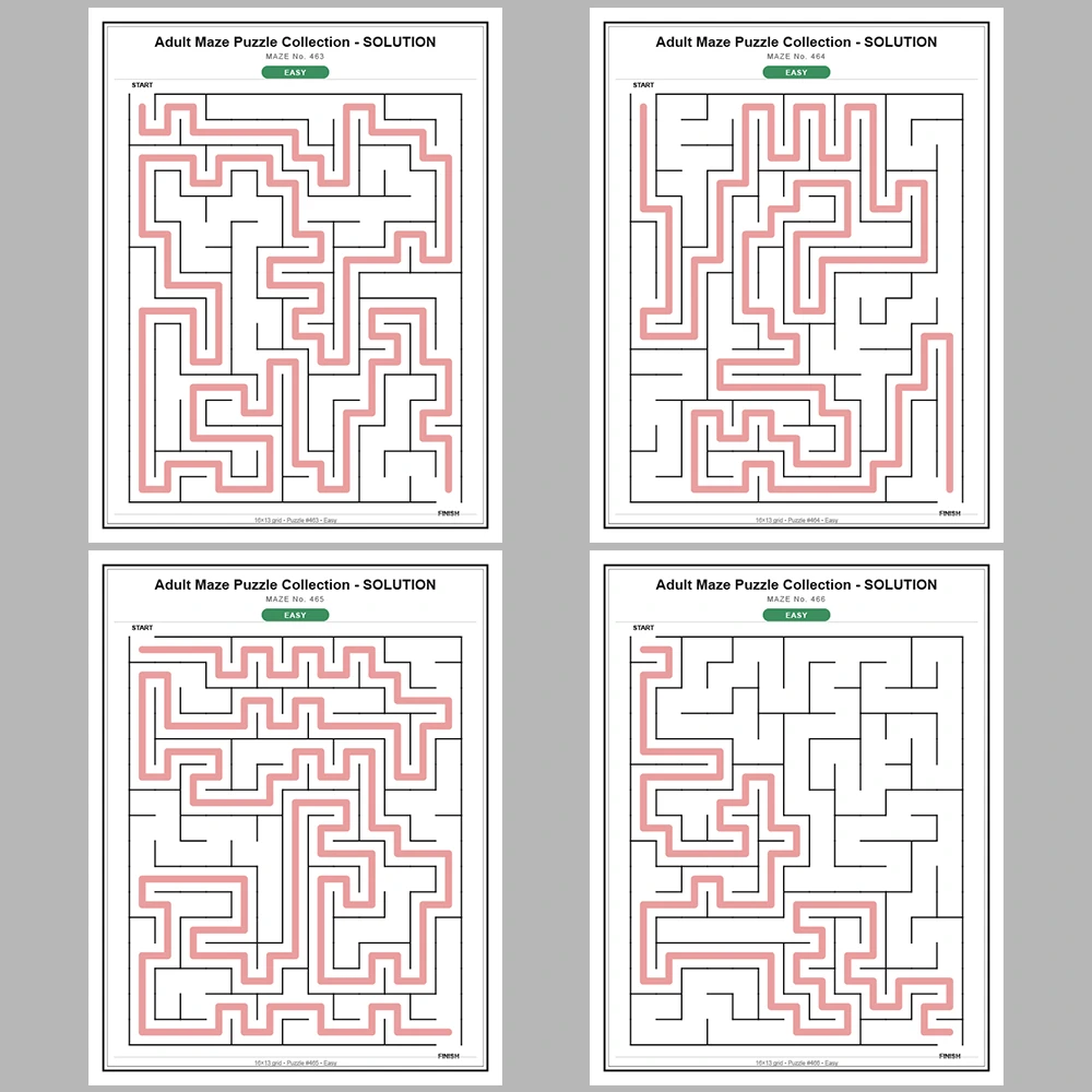 Maze Puzzle Easy 50 Pages of Puzzles – Vol. 10