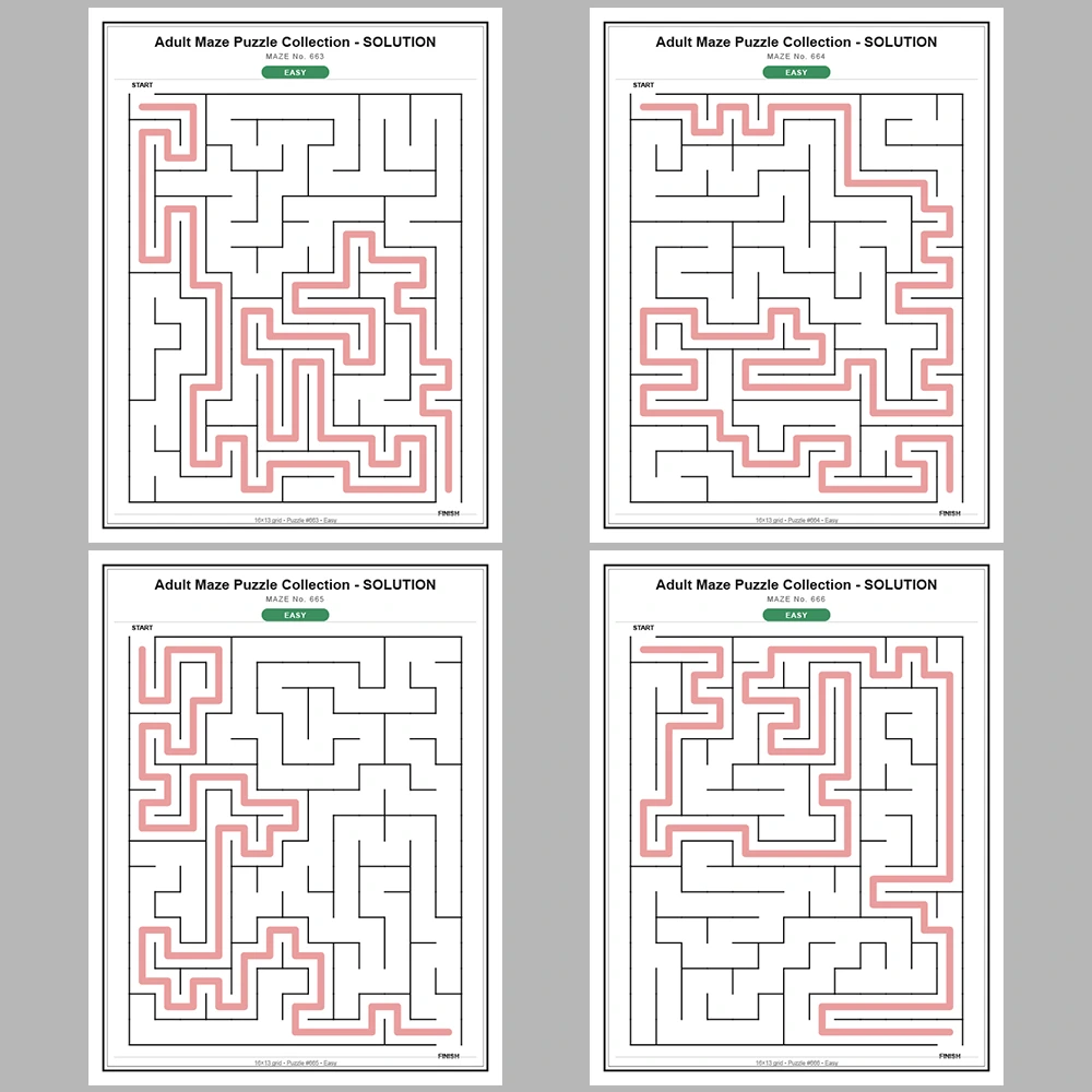 Maze Puzzle Easy 50 Pages of Puzzles – Vol. 14