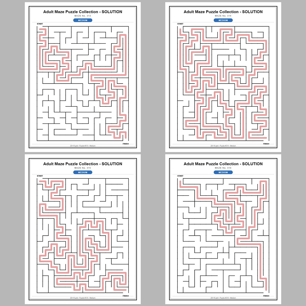 Maze Puzzle Medium 50 Pages of Puzzles – Vol. 7