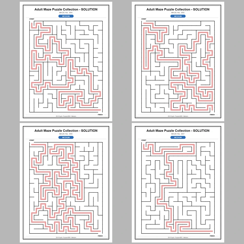 Maze Puzzle Medium 50 Pages of Puzzles – Vol. 2