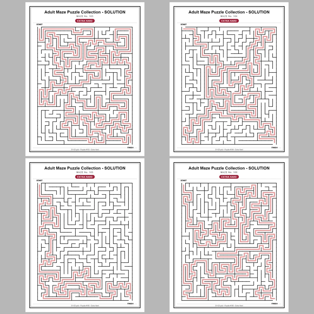 Maze Puzzle Extra Hard 50 Pages of Puzzles – Vol. 4