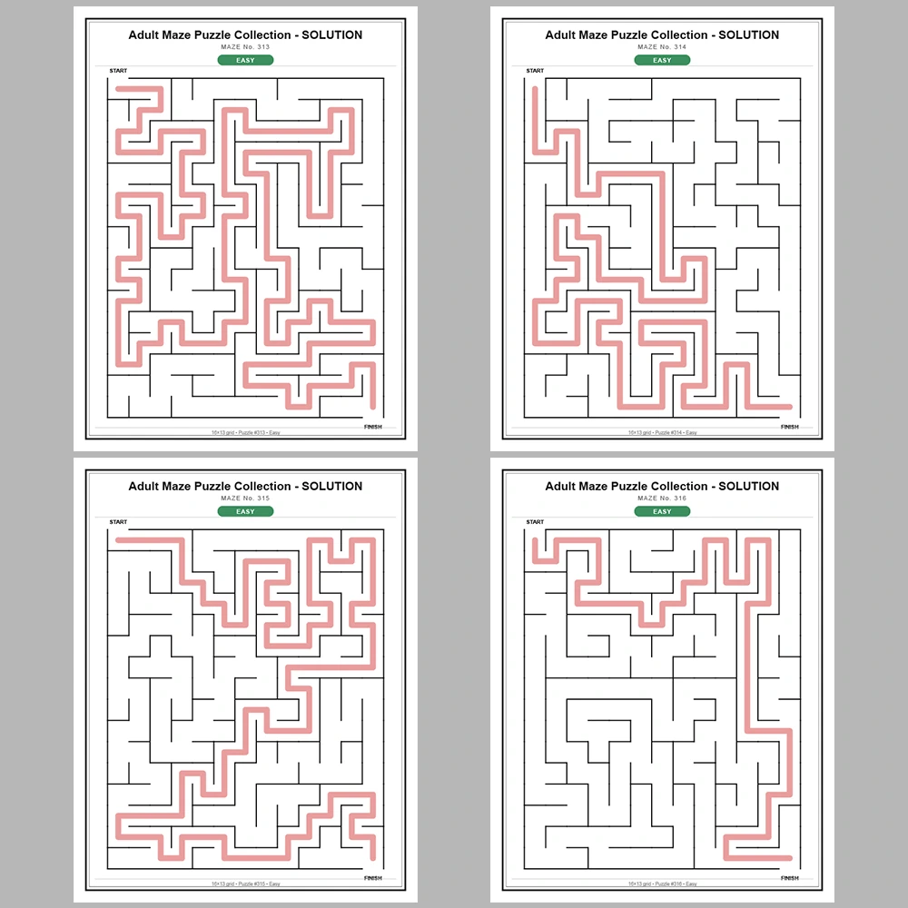 Maze Puzzle Easy 50 Pages of Puzzles – Vol. 7