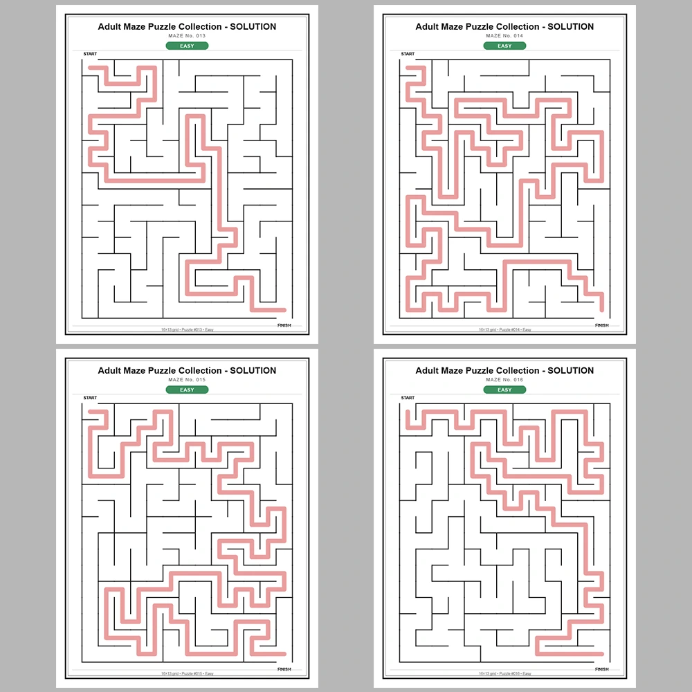 Maze Puzzle Easy 50 Pages of Puzzles – Vol. 3