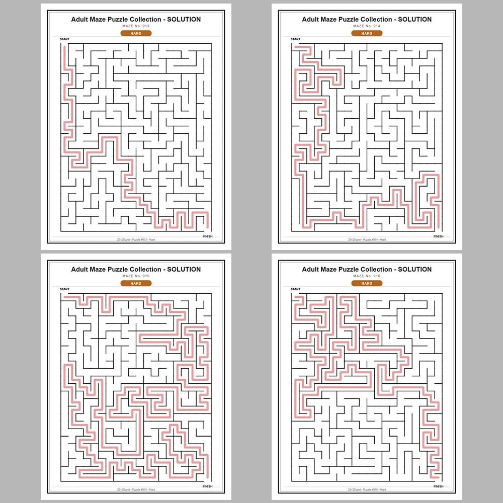 Maze Puzzle Hard 50 Pages of Puzzles – Vol. 19
