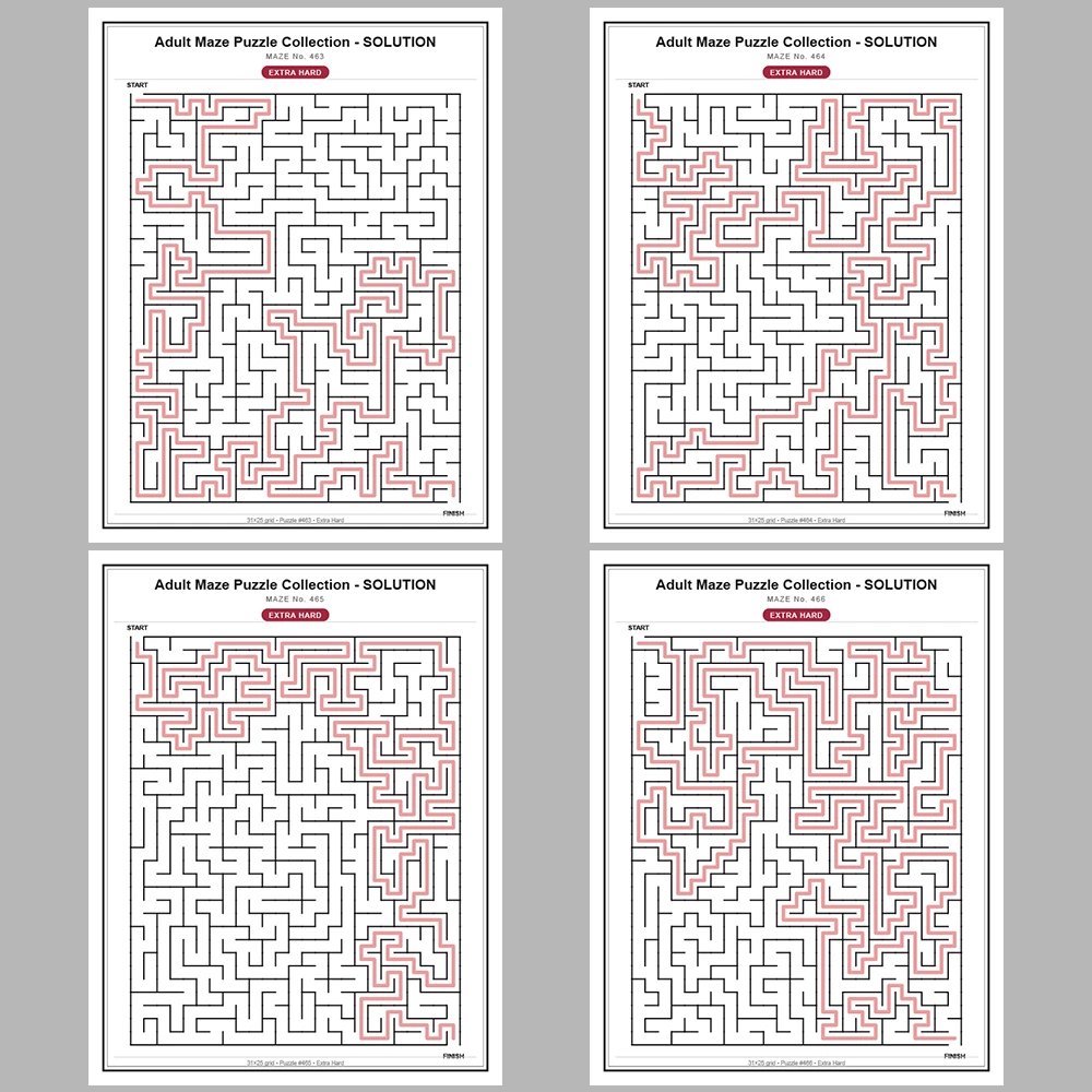 Maze Puzzle Extra Hard 50 Pages of Puzzles – Vol. 10