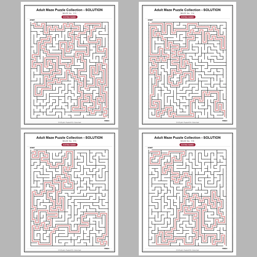 Maze Puzzle Extra Hard 50 Pages of Puzzles – Vol. 3
