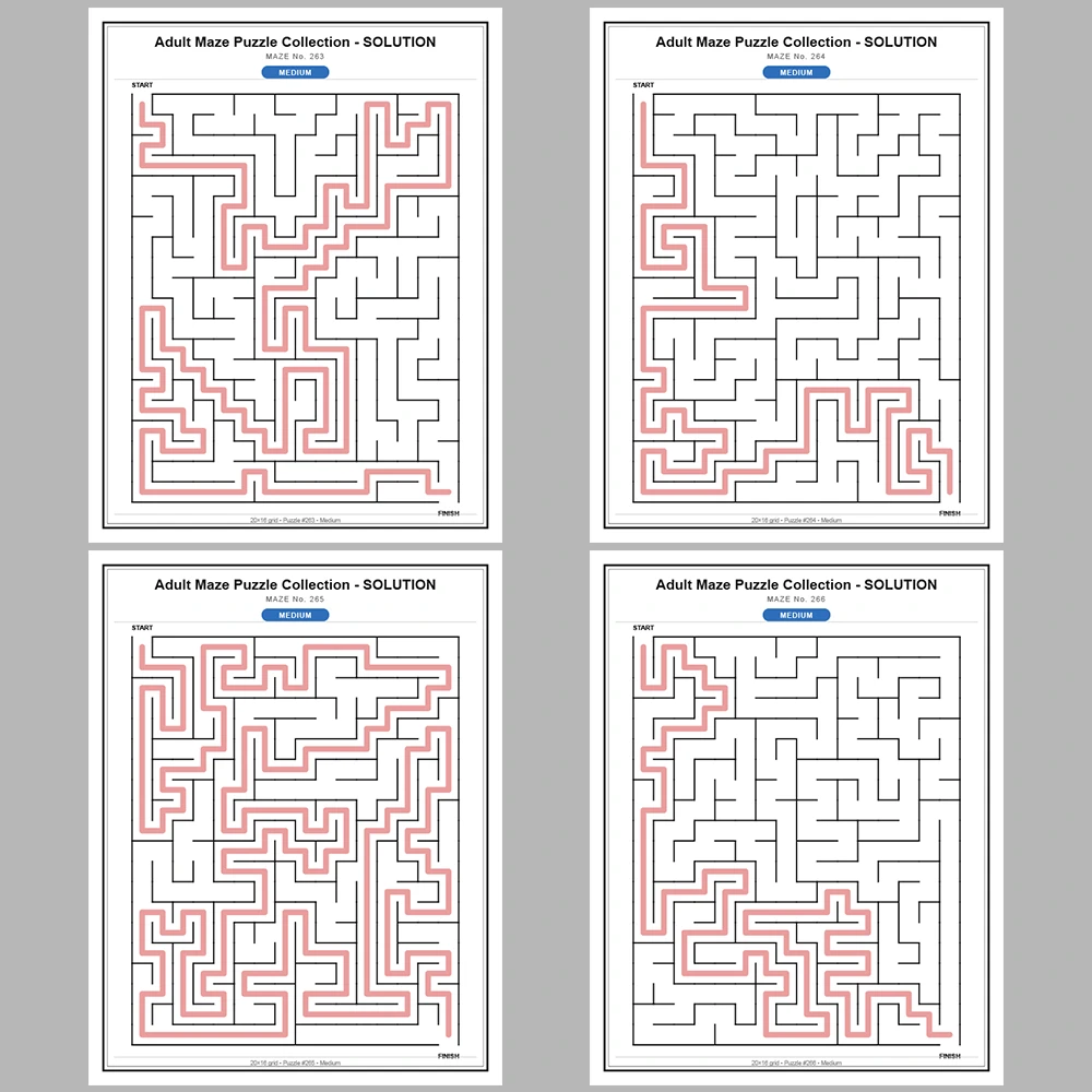 Maze Puzzle Medium 50 Pages of Puzzles – Vol. 6