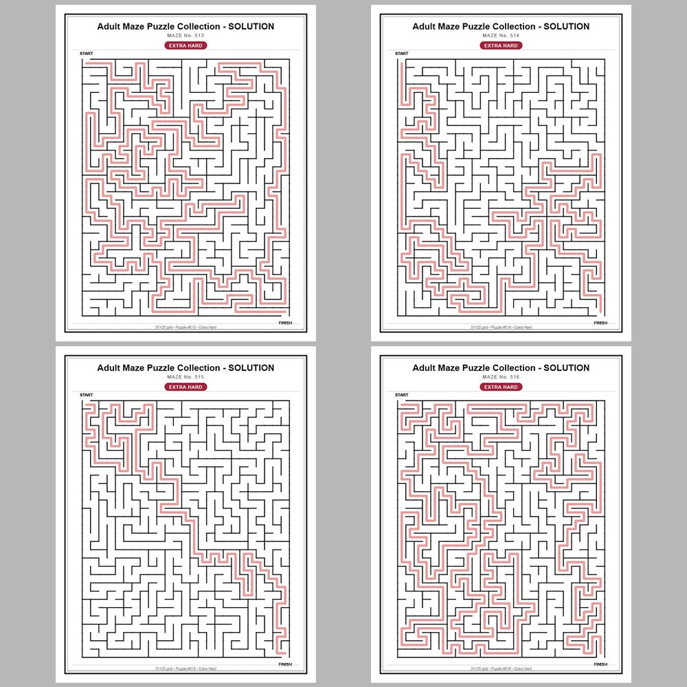 Maze Puzzle Extra Hard 50 Pages of Puzzles – Vol. 11