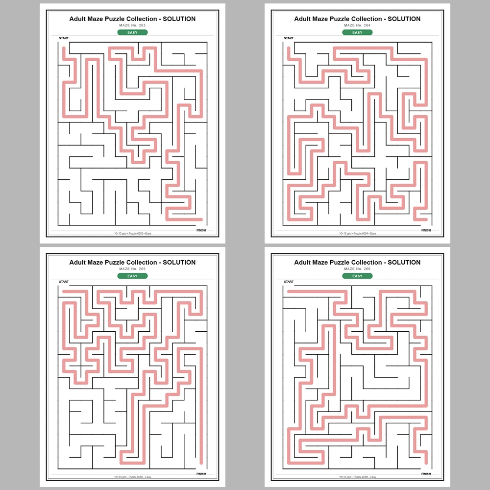 Maze Puzzle Easy 50 Pages of Puzzles – Vol. 6