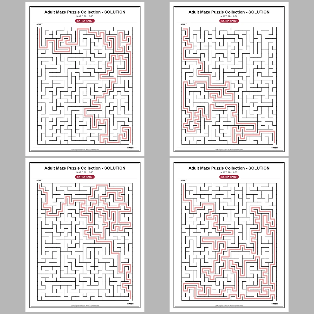 Maze Puzzle Extra Hard 50 Pages of Puzzles – Vol. 14