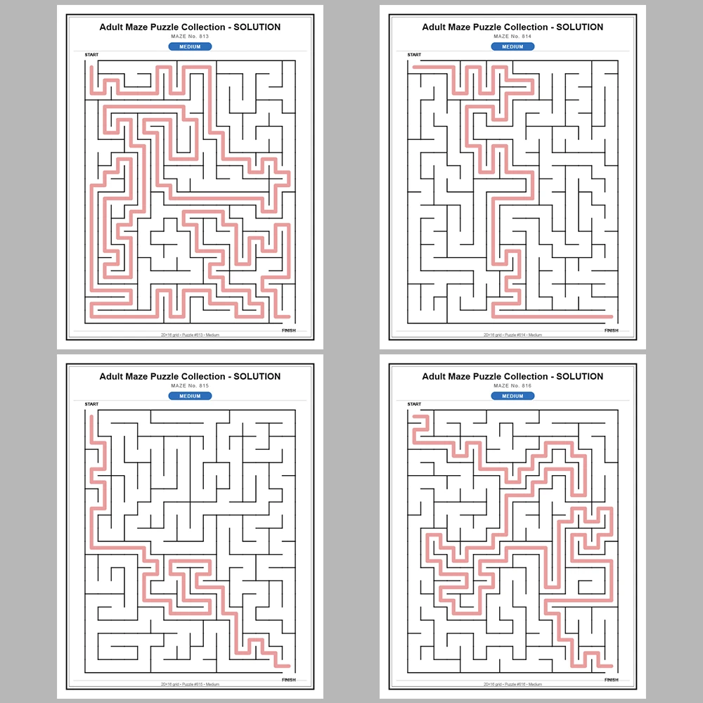 Maze Puzzle Medium 50 Pages of Puzzles – Vol. 17