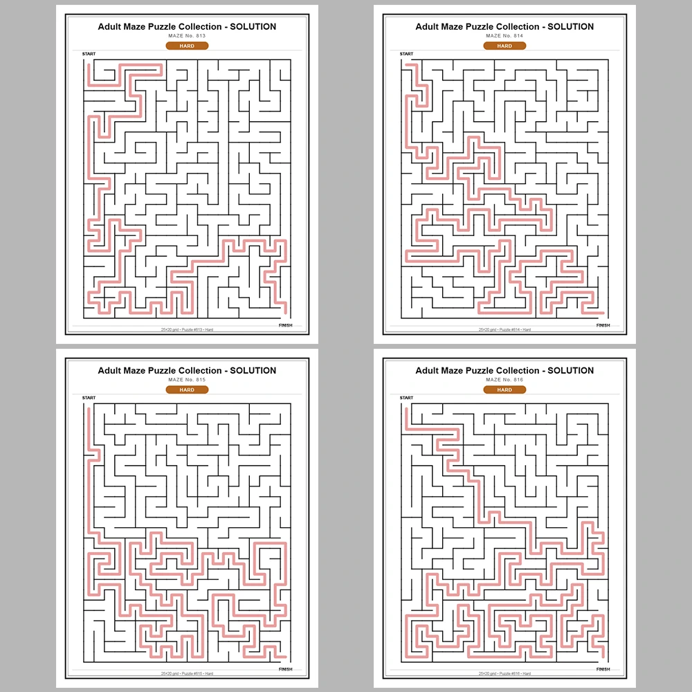 Maze Puzzle Hard 50 Pages of Puzzles – Vol. 17