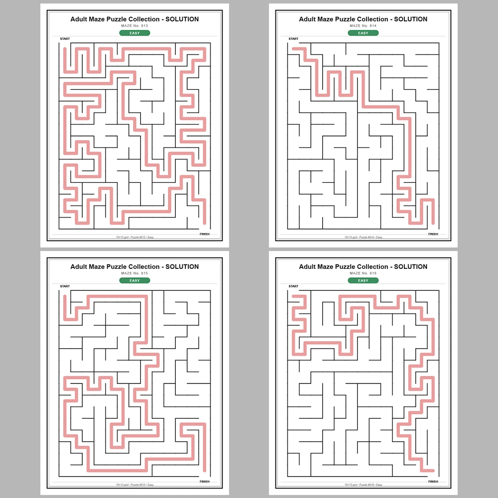 Maze Puzzle Easy 50 Pages of Puzzles – Vol. 17