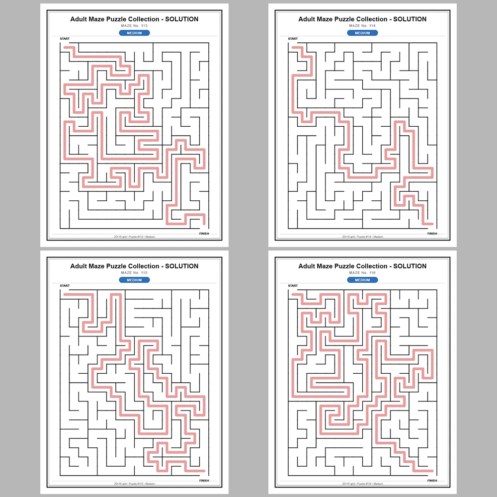 Maze Puzzle Medium 50 Pages of Puzzles – Vol. 3