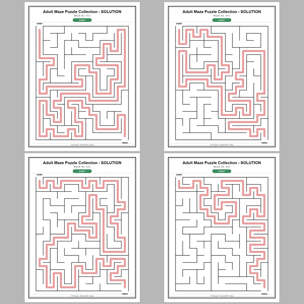 Maze Puzzle Easy 50 Pages of Puzzles – Vol. 19