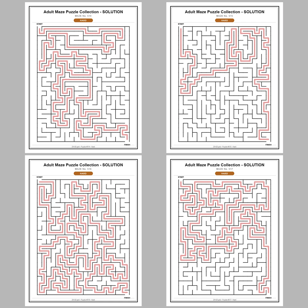 Maze Puzzle Hard 250 Pages of Puzzles – Vol. 3