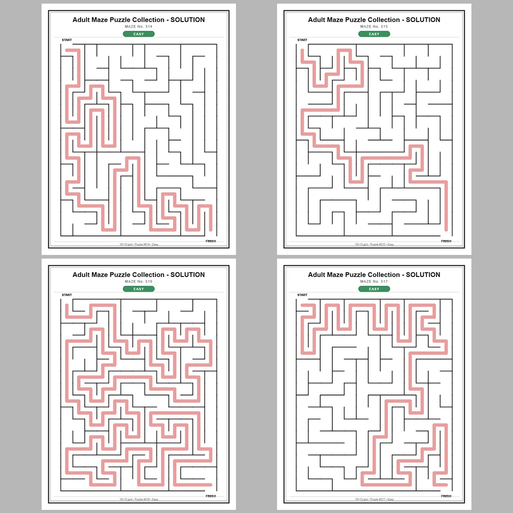 Maze Puzzle Easy 250 Pages of Puzzles – Vol. 3