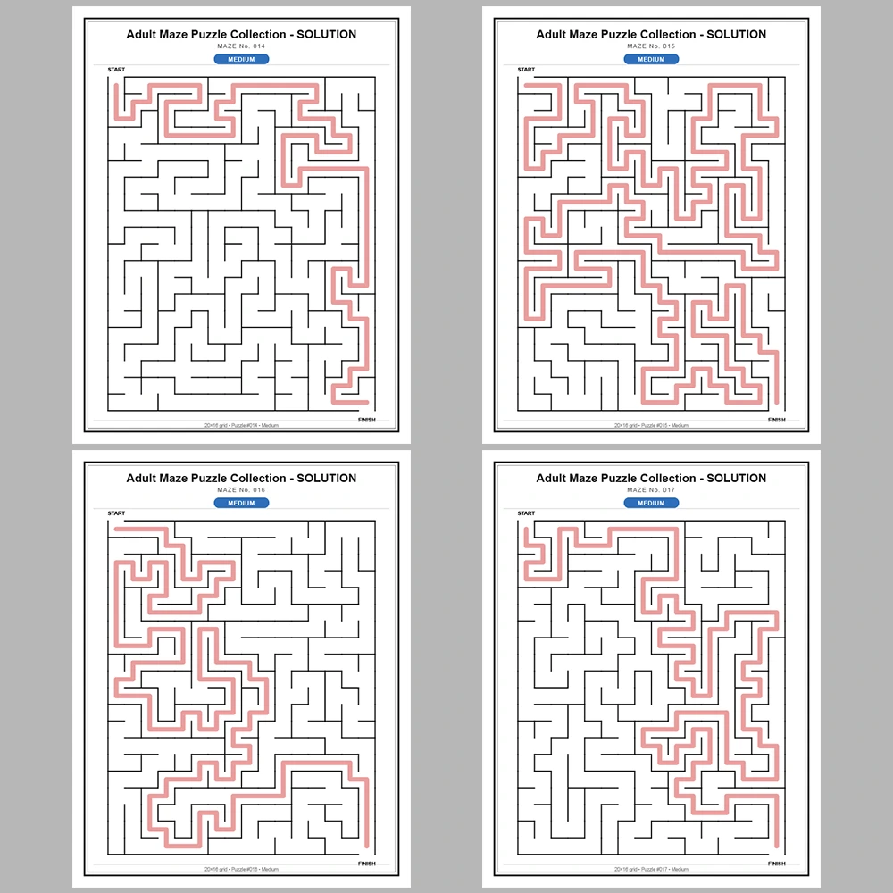 Maze Puzzle Medium 250 Pages of Puzzles – Vol. 1