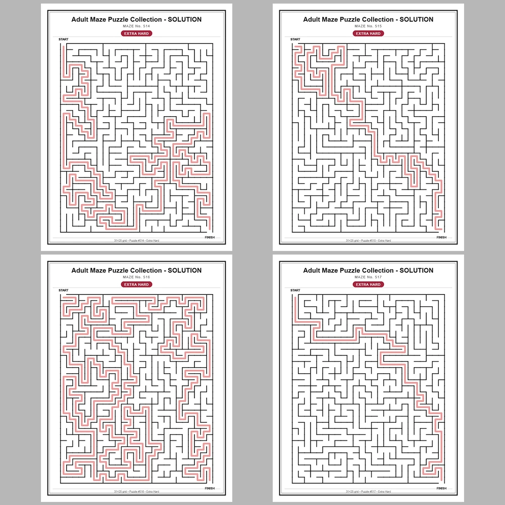 Maze Puzzle Extra Hard 250 Pages of Puzzles – Vol. 3