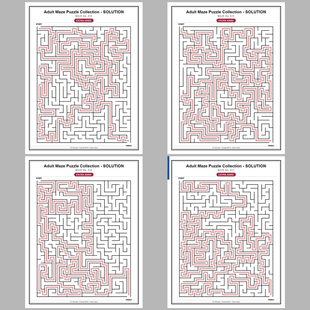 Maze Puzzle Extra Hard 250 Pages of Puzzles – Vol. 1